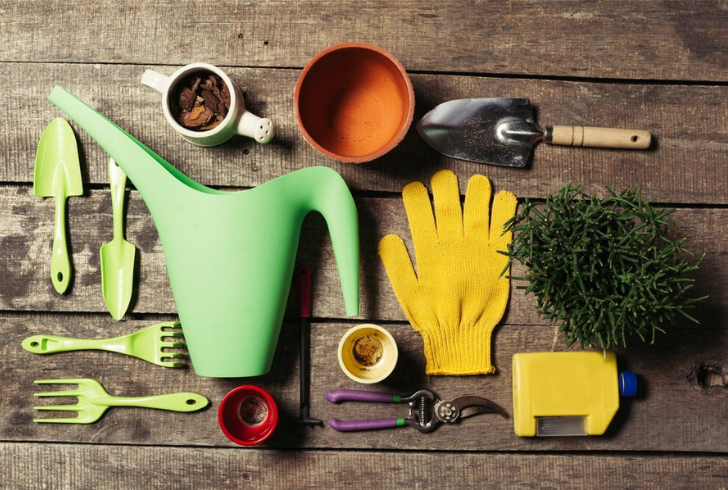 The right indoor gardening supplies can transform any room into a lush green space.